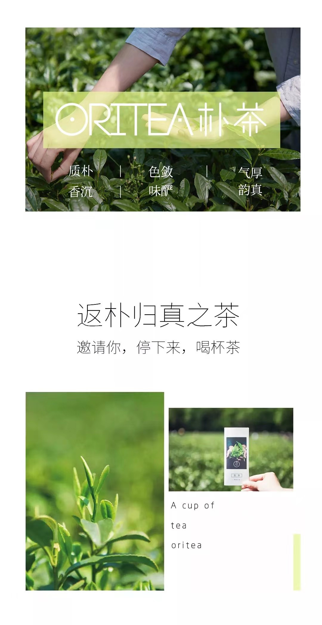 WeChat Image_20210323121117.jpg