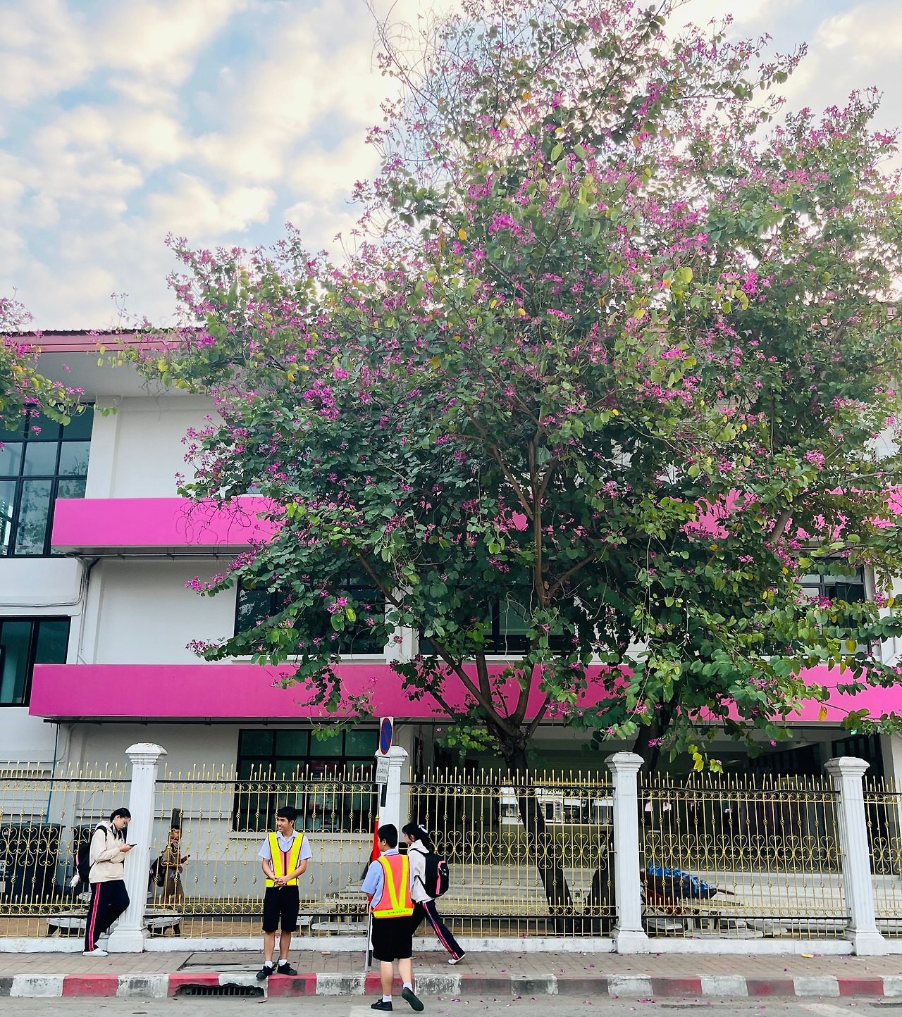 치앙마이 맛집 (6).jpg