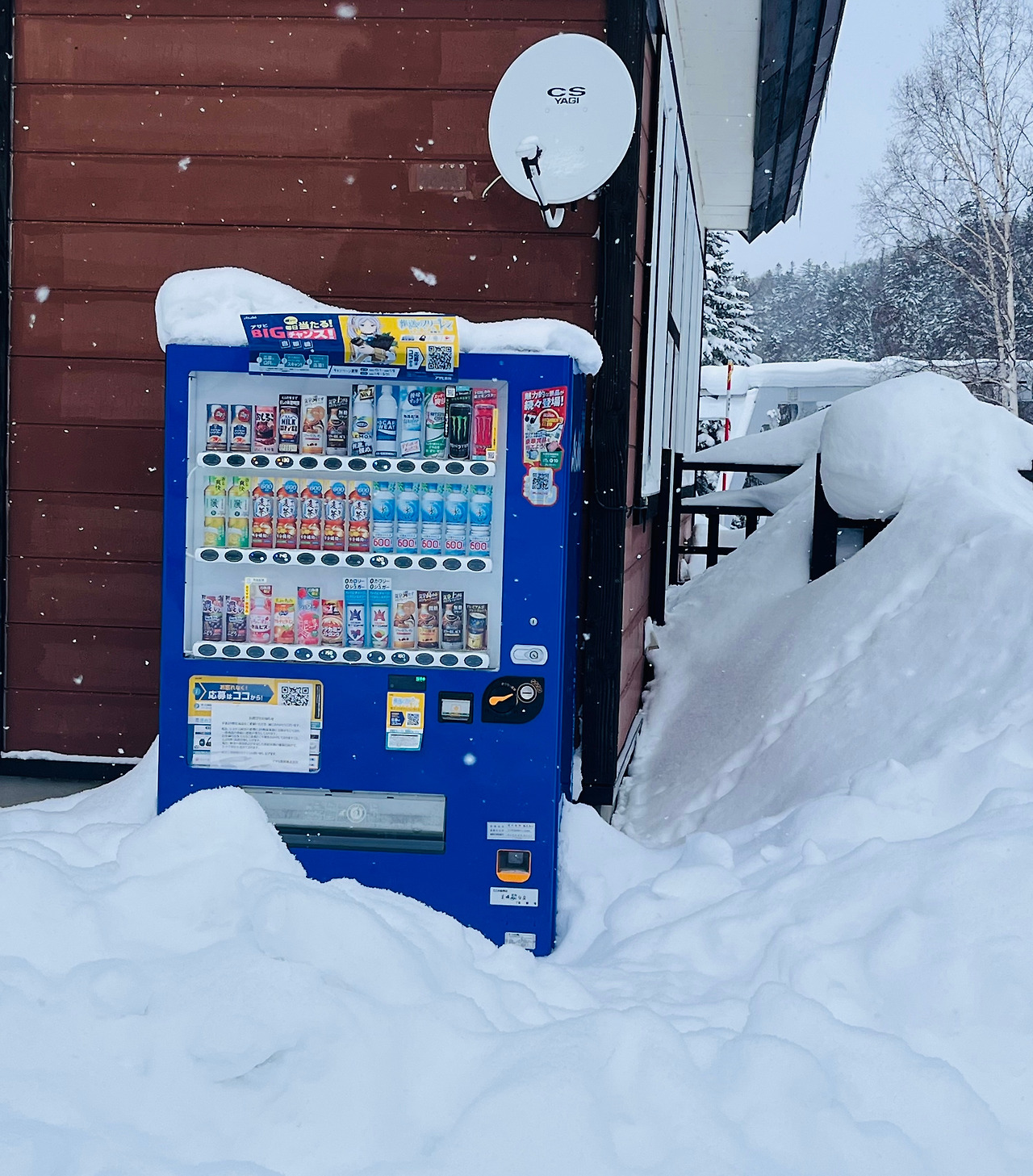 15 홋카이도 자판기들 (5).jpg