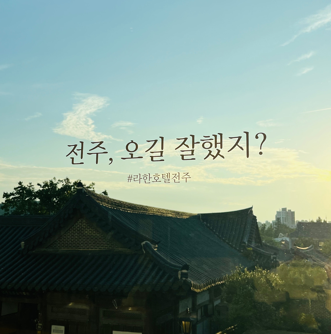 KakaoTalk_20250929_233500125_10.jpg