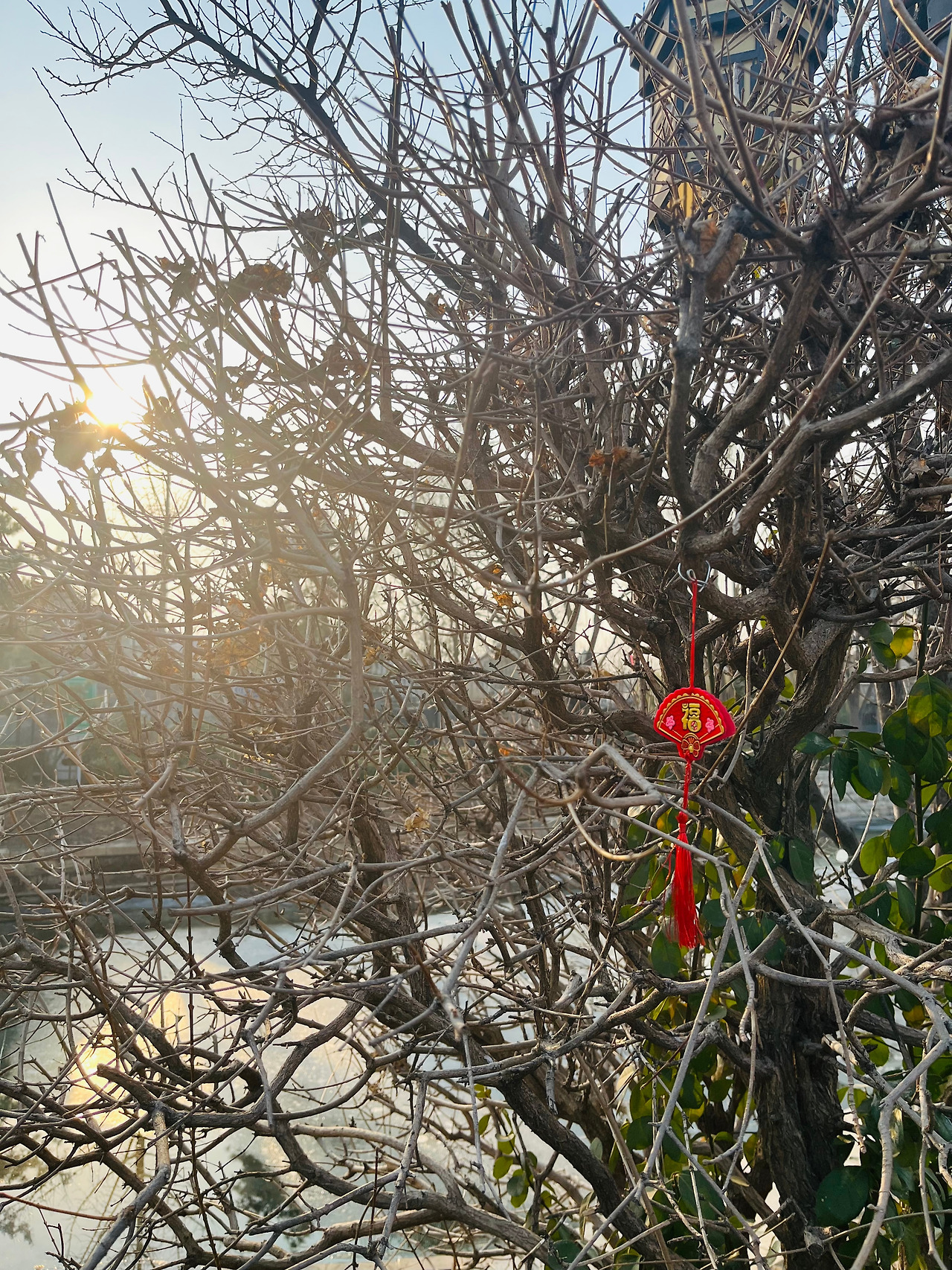 베이징 여행 (16).jpg