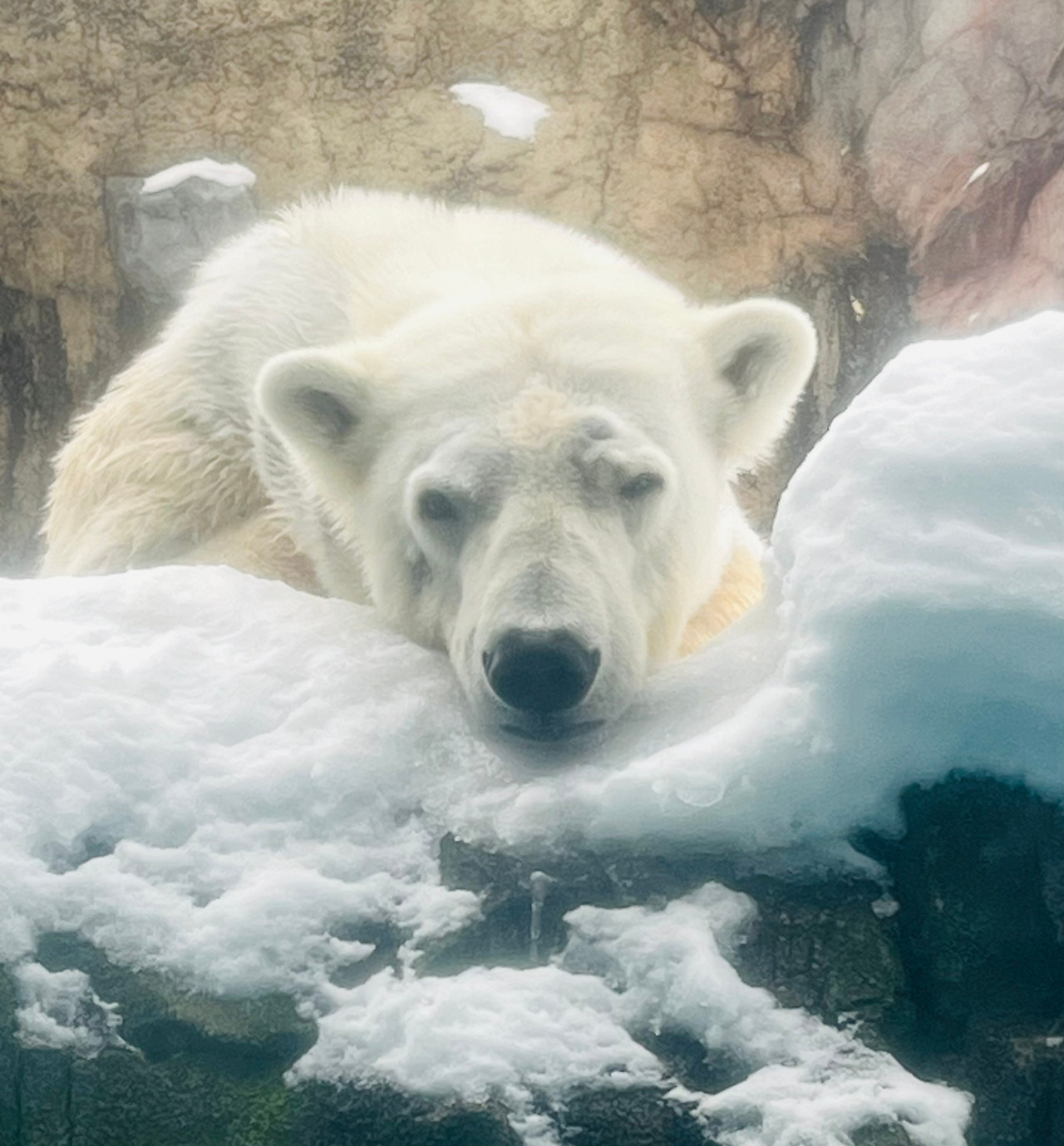 14 펭귄워크와 소유라멘의 도시 (12).jpg