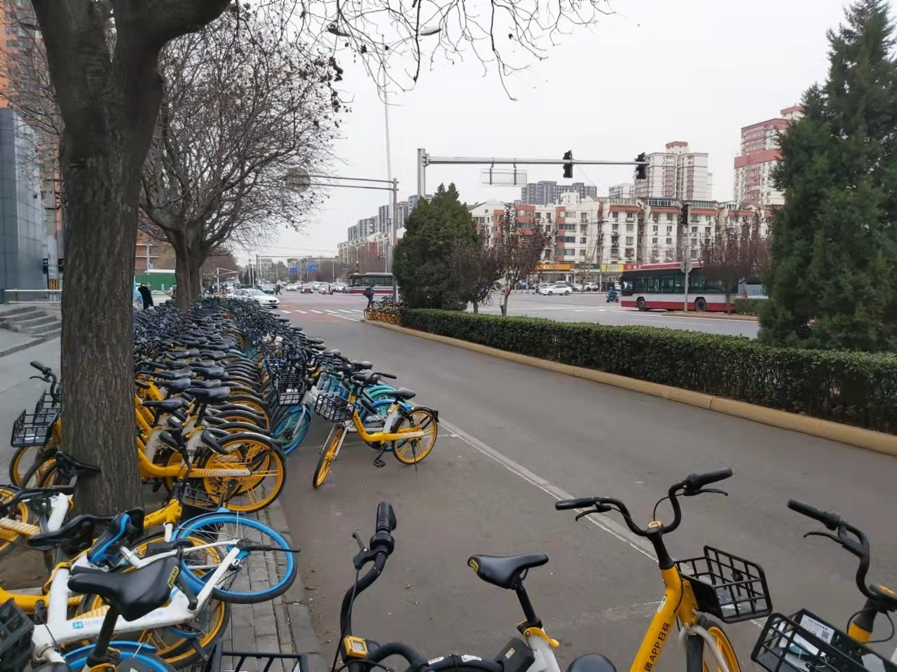 WeChat Image_20211128122046.jpg