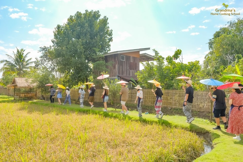 치앙마이 그랜마즈 (24).jpg