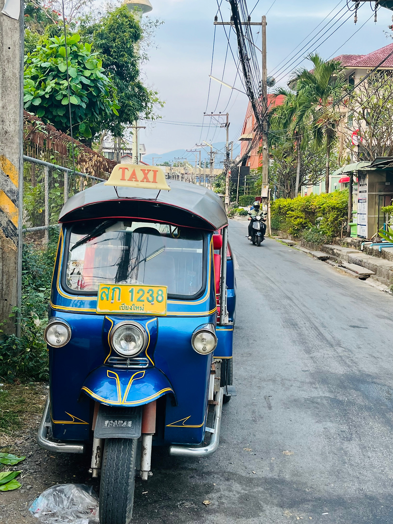 치앙마이 맛집 (2).jpg