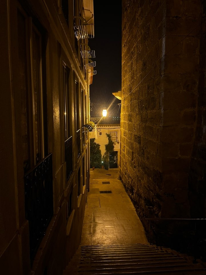 스페인여행 (146).jpg