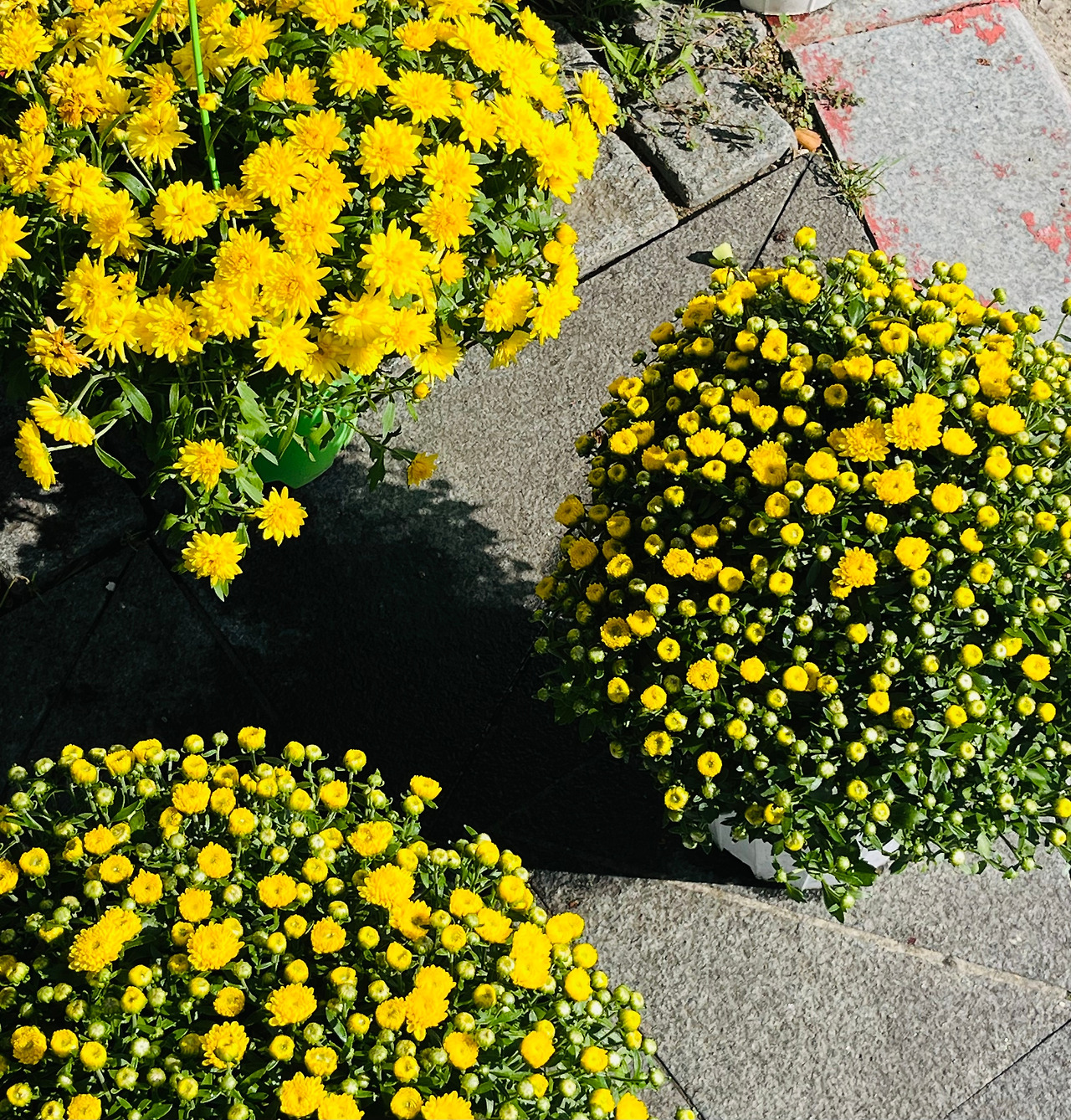 KakaoTalk_20250929_232857121_05.jpg