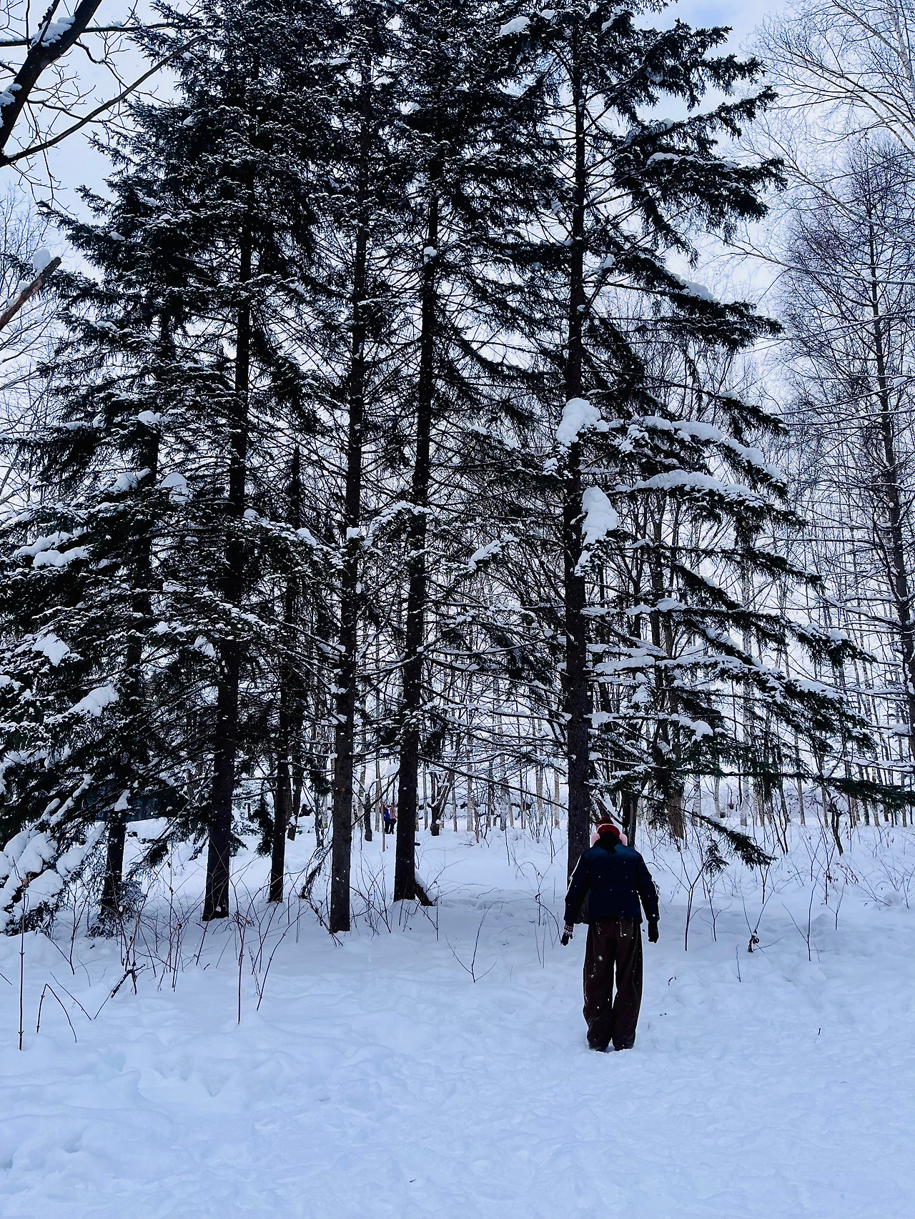 홋카이도 비에이 (50).jpg