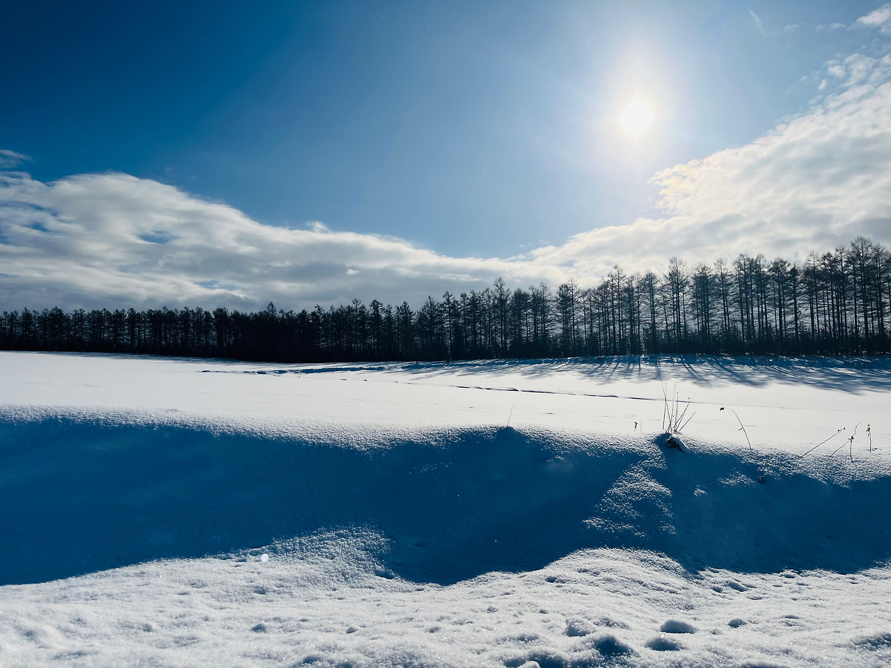 홋카이도 비에이 (4).jpg