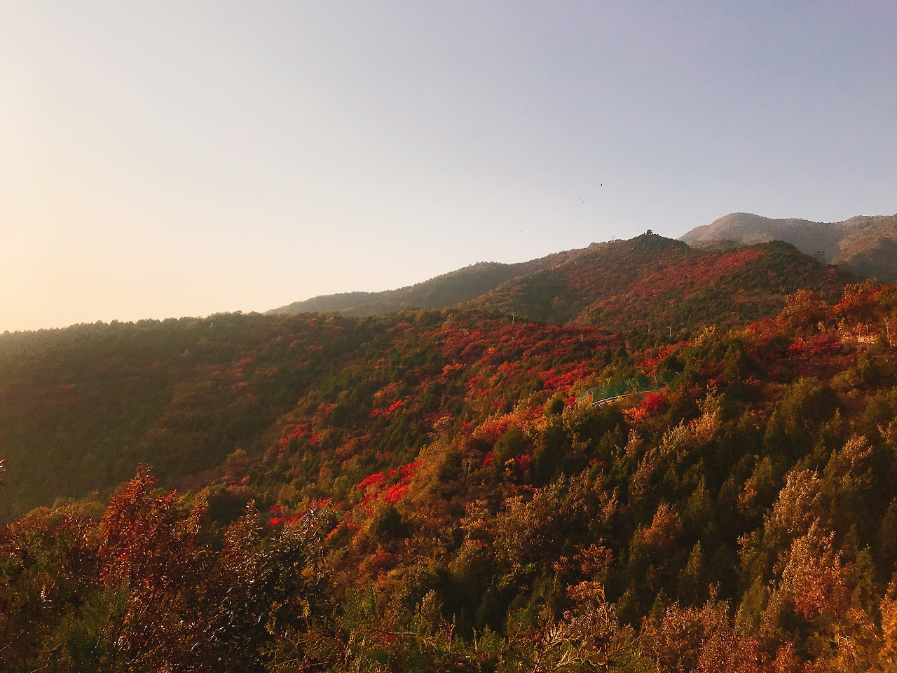 WeChat Image_20201214000840.jpg