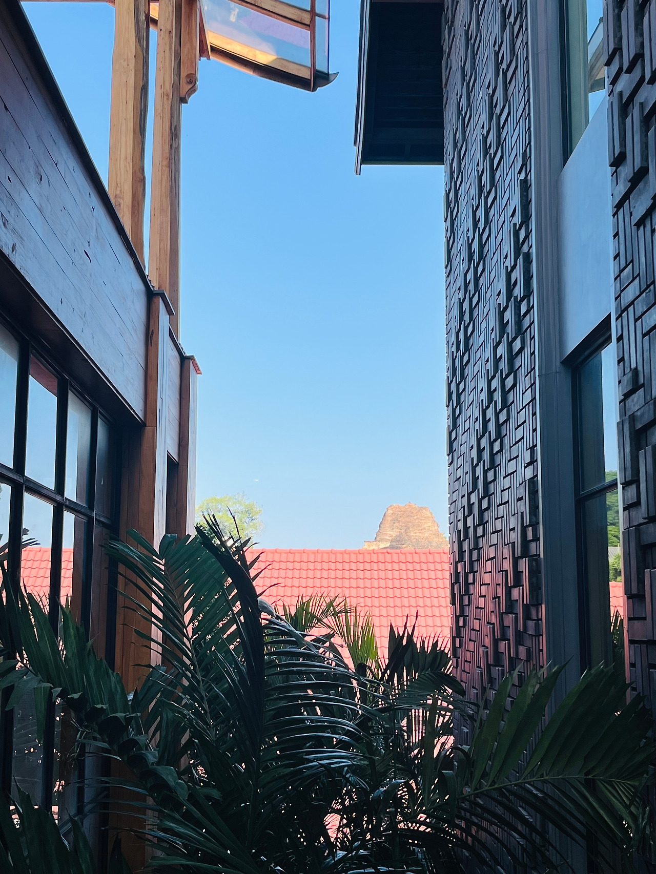 치앙마이 올드타운 맛집 (42).jpg