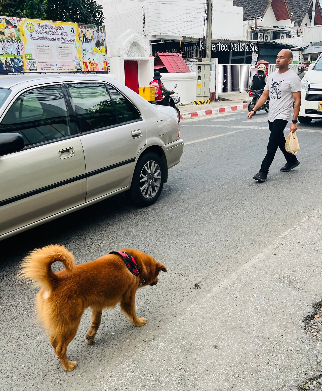 치앙마이 맛집 (22).jpg