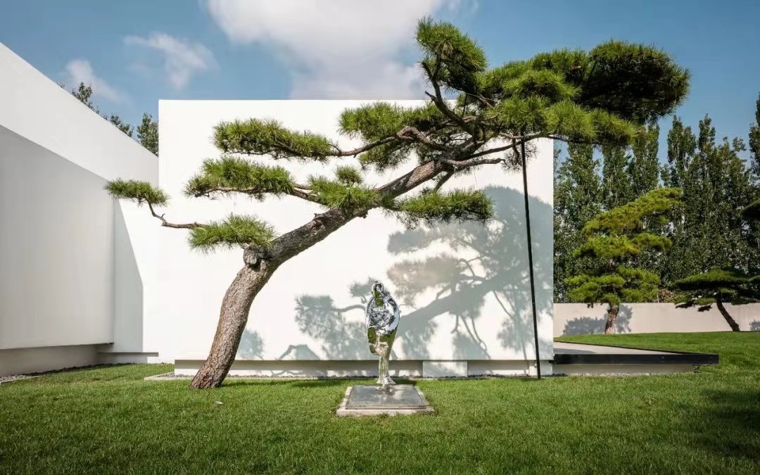 WeChat Image_20201218145647.jpg