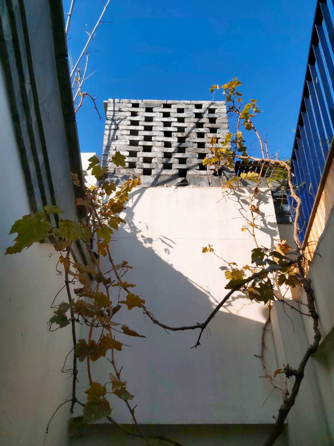 WeChat Image_20201103165847.jpg