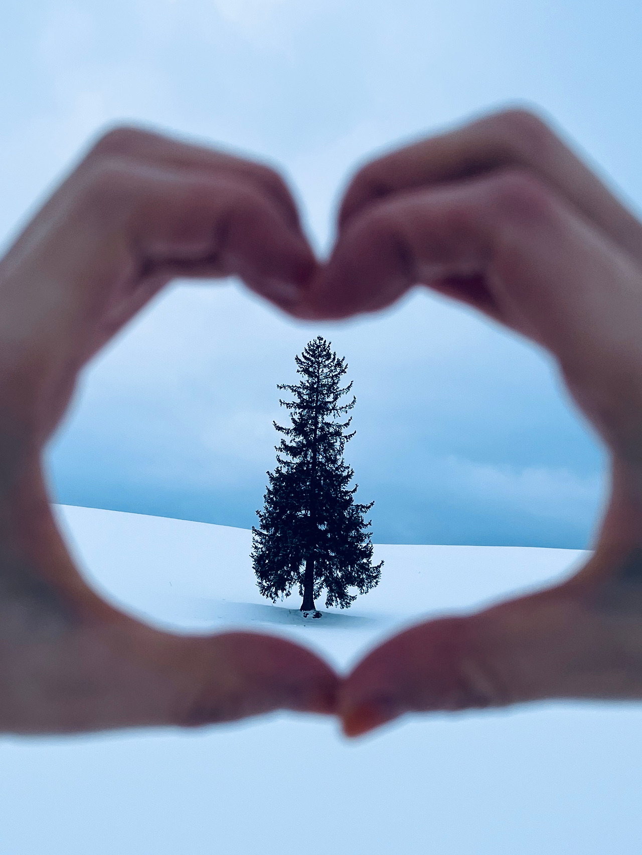 홋카이도 비에이 (71).jpg