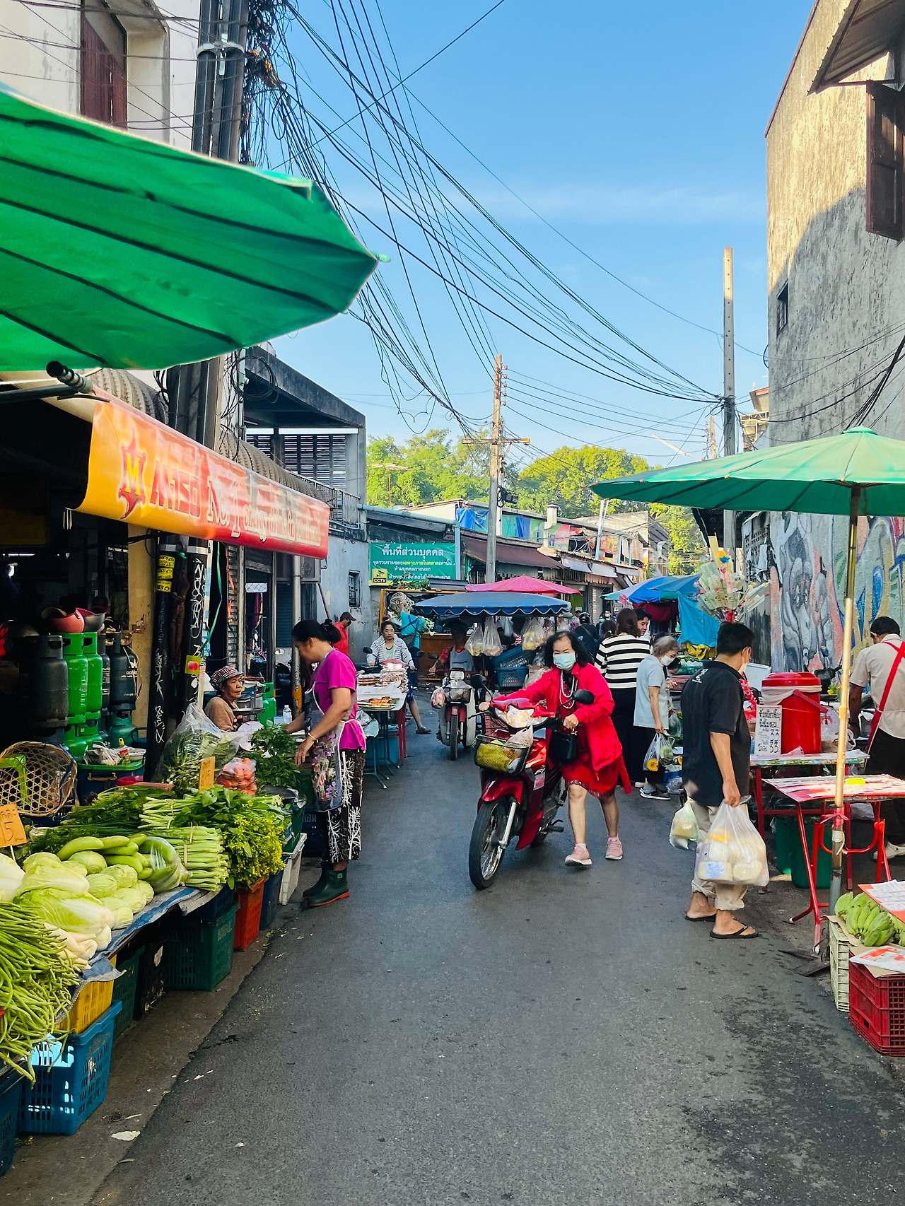 치앙마이여행 (33).jpg