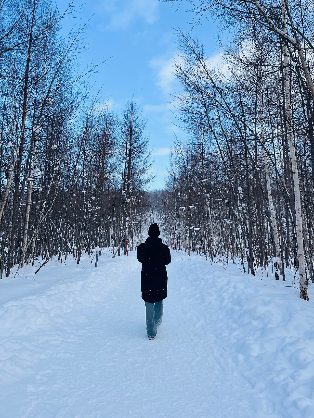 홋카이도 비에이 (84).jpg