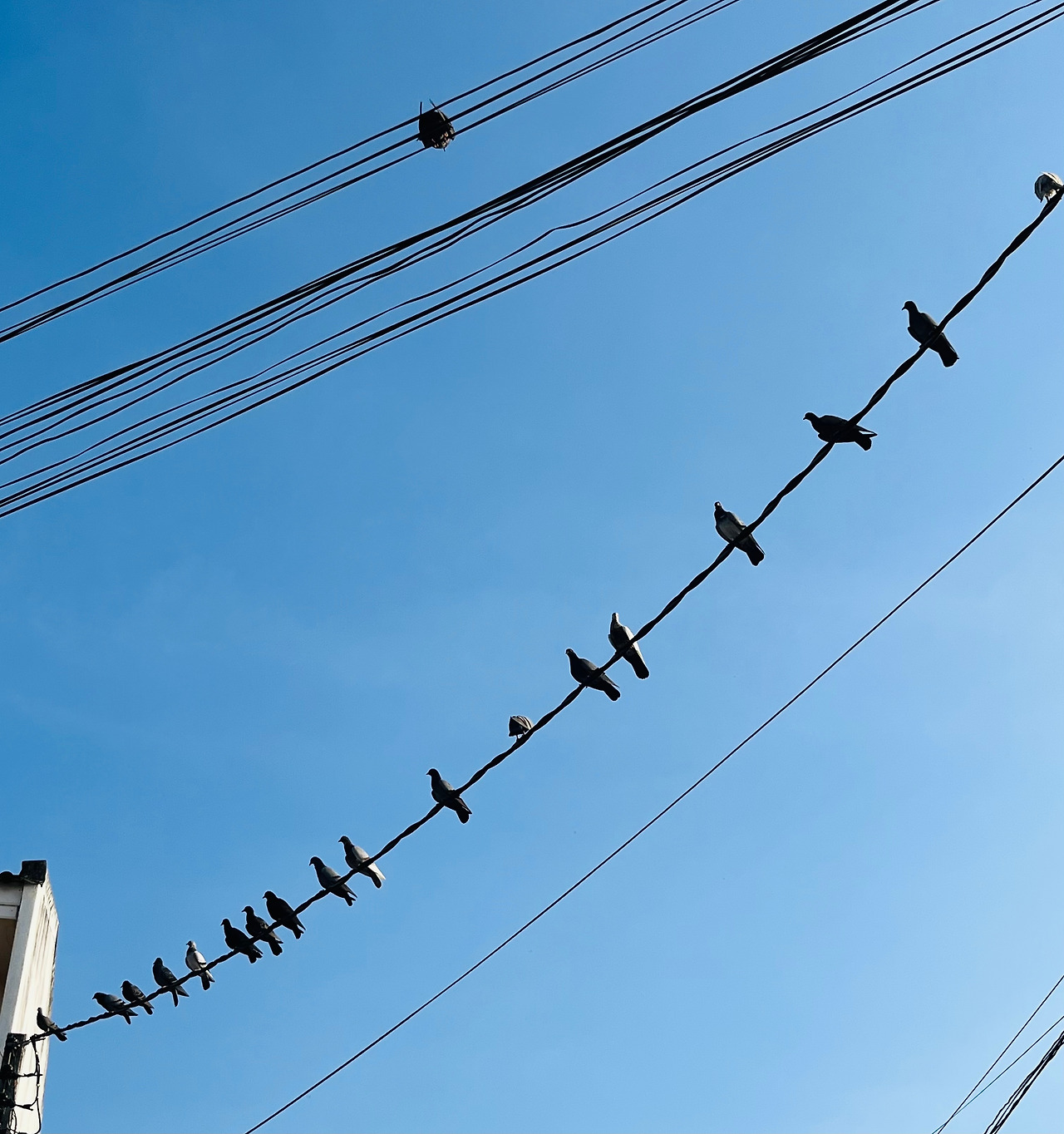 치앙마이여행 (110).jpg