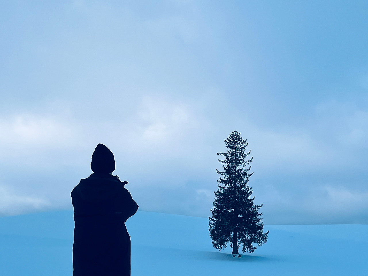 홋카이도 비에이 (67).jpg