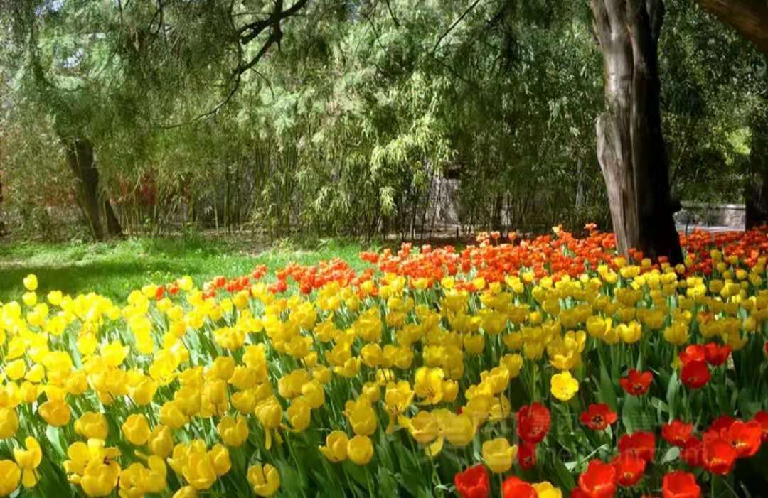 WeChat Image_20210710215238.jpg