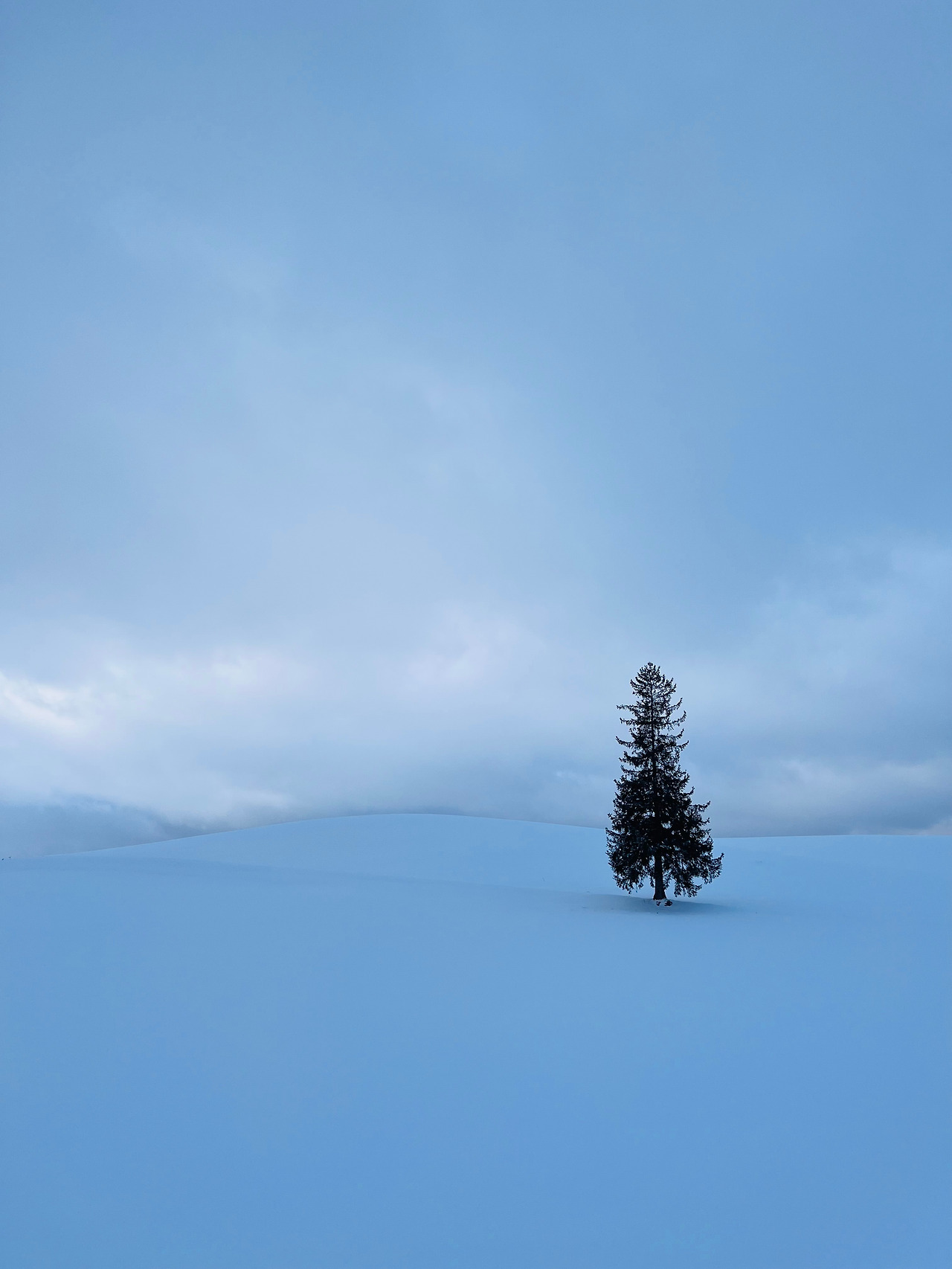 홋카이도 비에이 (24).jpg