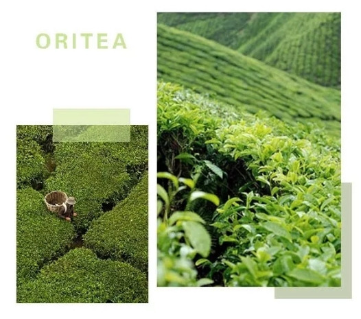 WeChat Image_20210323121113.jpg