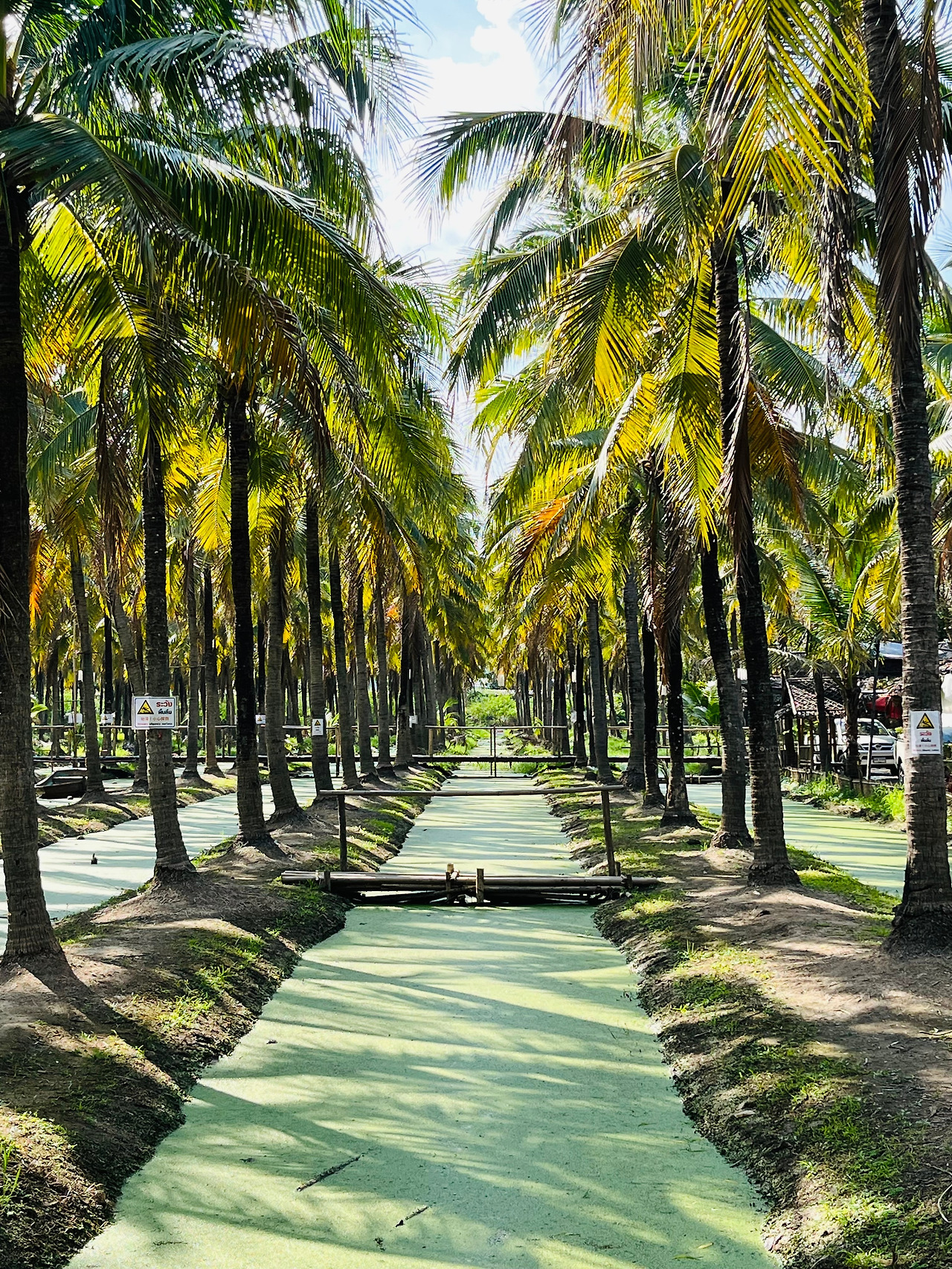 치앙마이 여행코스 (77).jpg