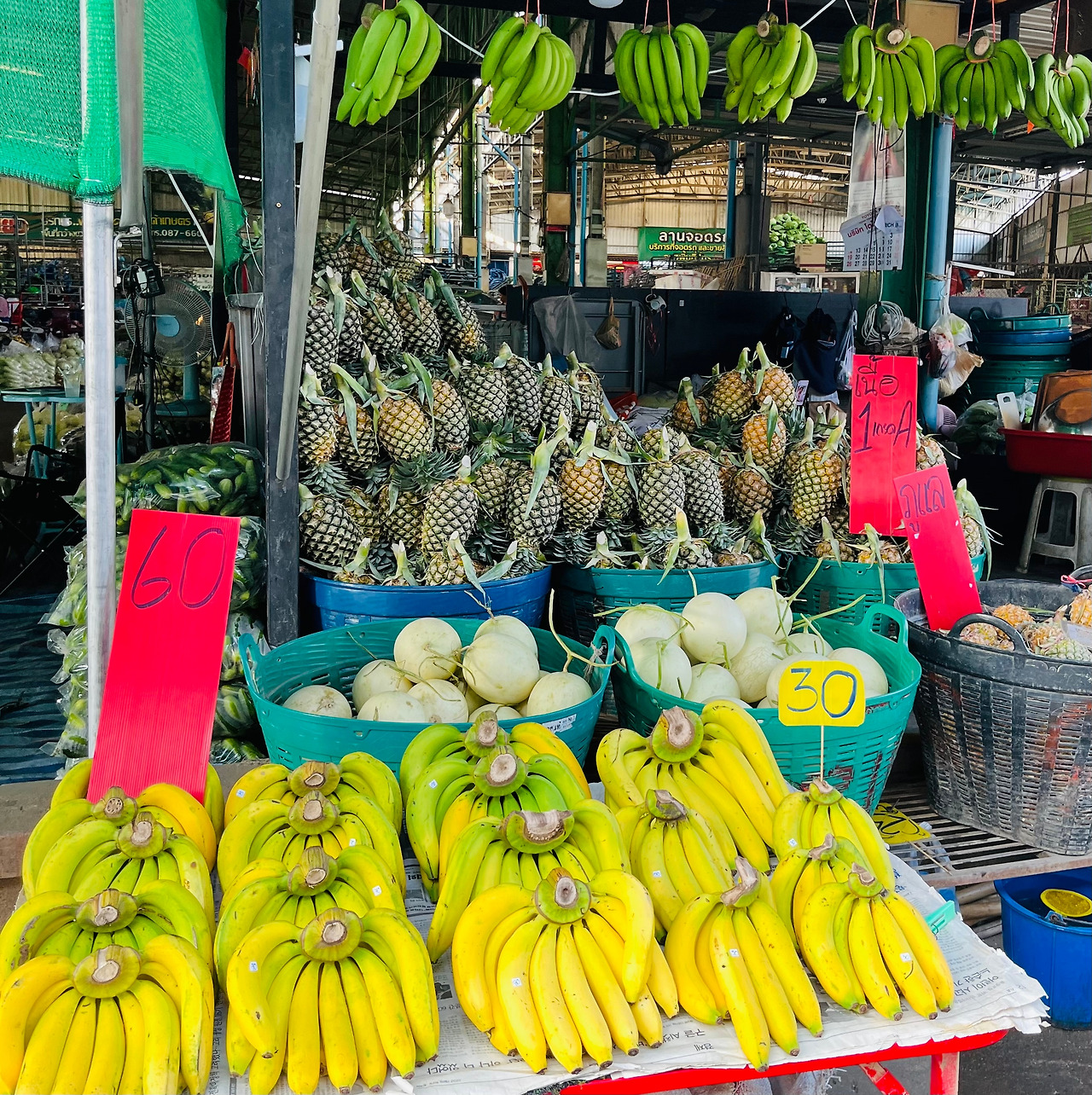 치앙마이 여행코스 (38).jpg