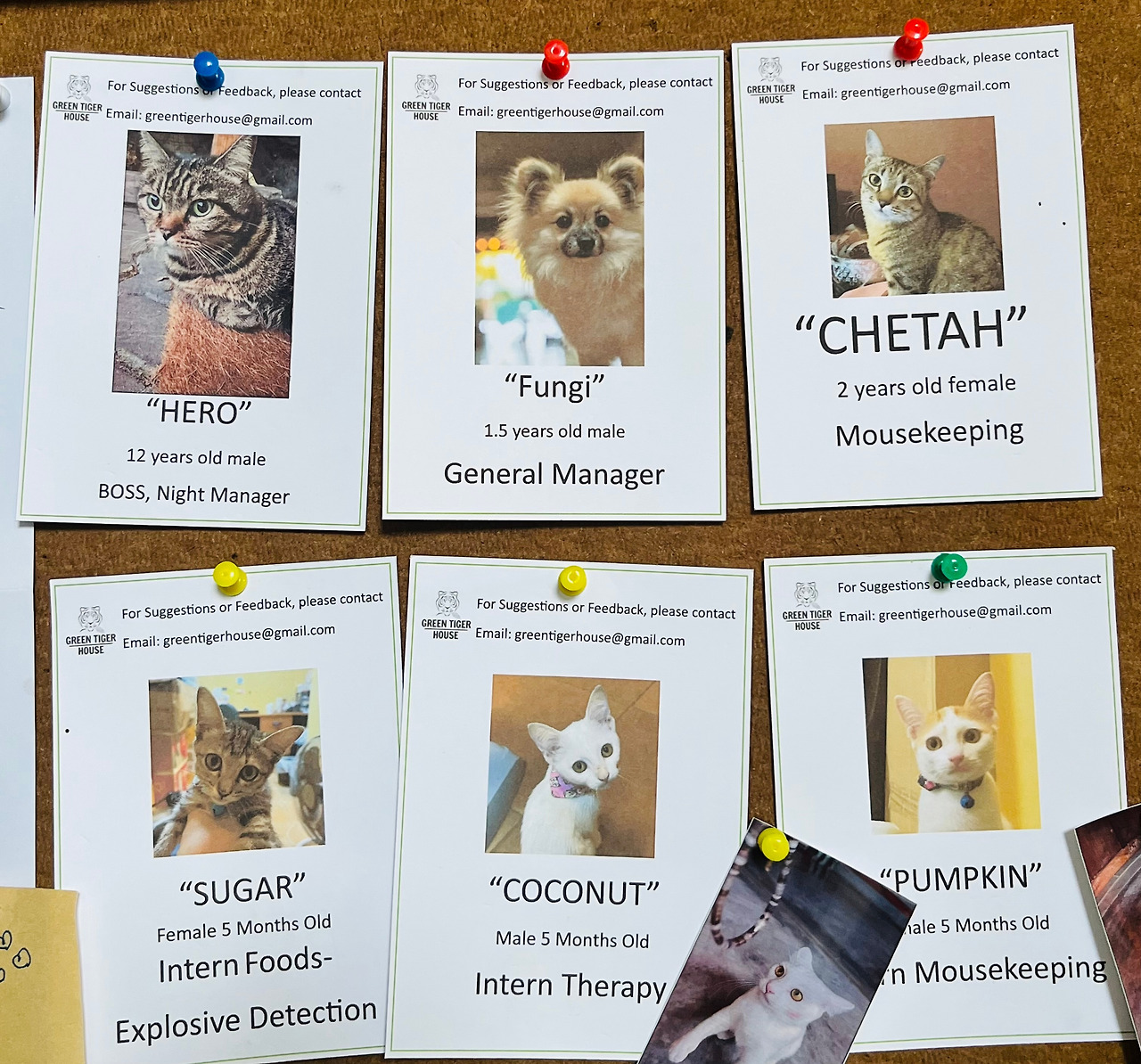 치앙마이숙소 (32).jpg