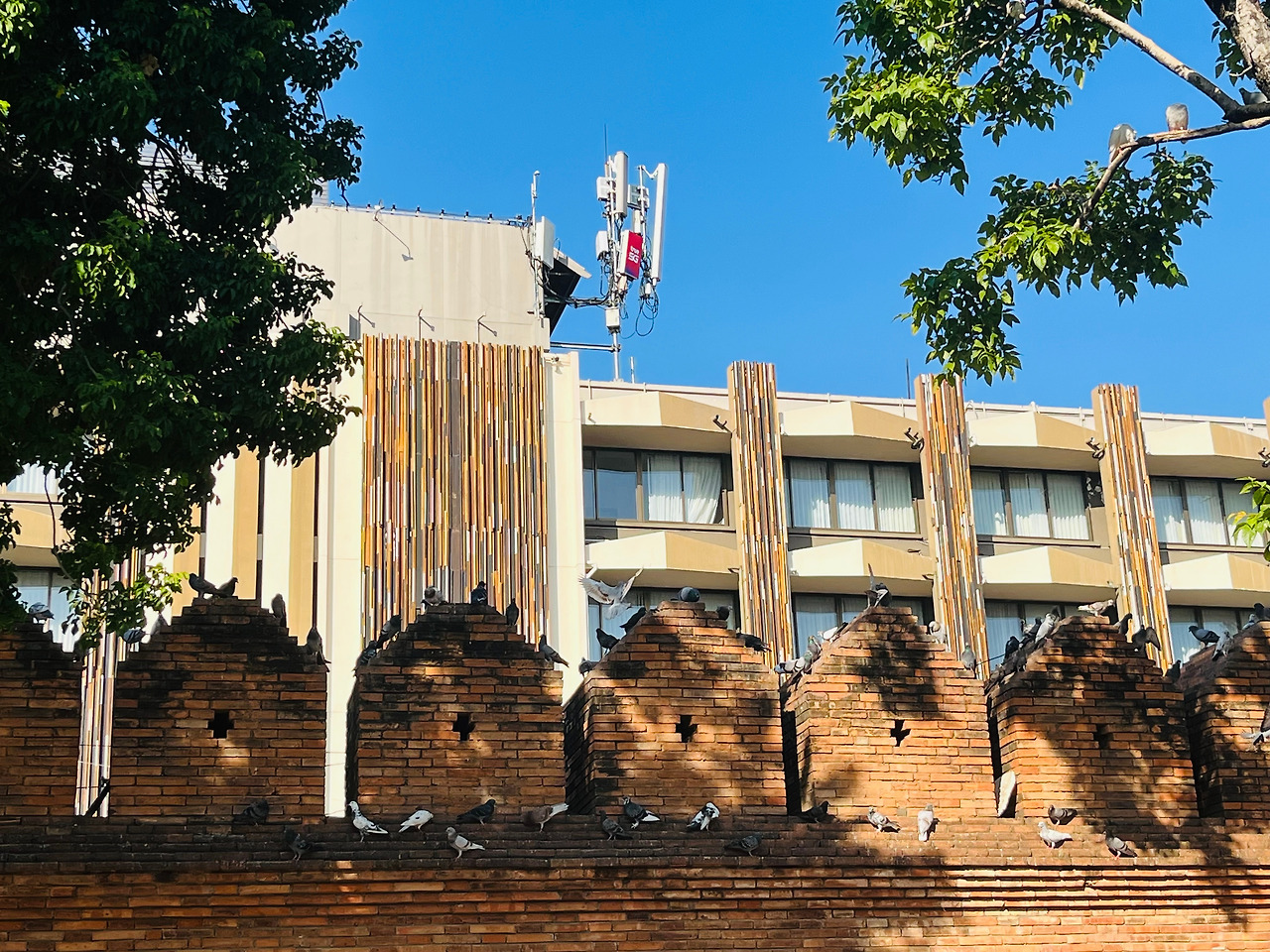 치앙마이여행 (71).jpg