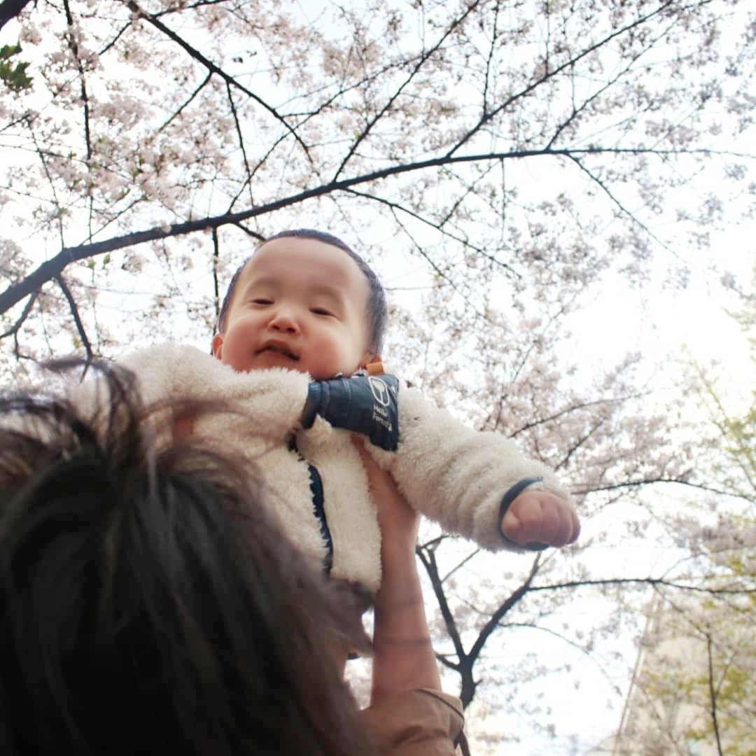 IMG_20190826_9_날아라, 상준, 셀렉, 벚꽃11.jpg