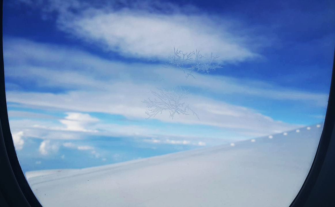 20160817_215528_셀렉, 결빙, 하와이.jpg