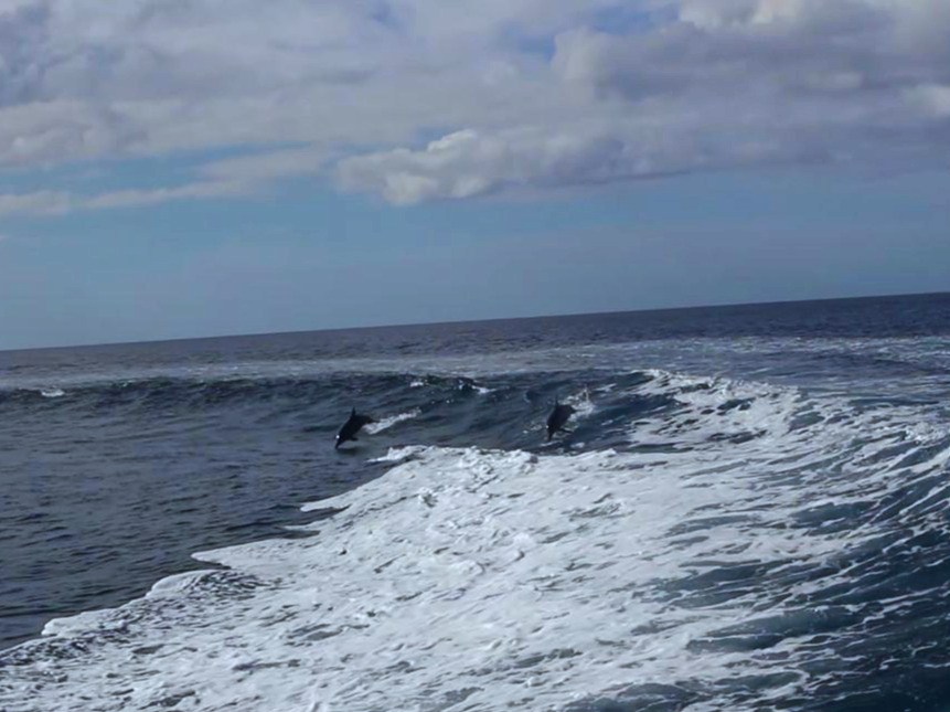 MVI_4000_Moment2, 셀렉.jpg