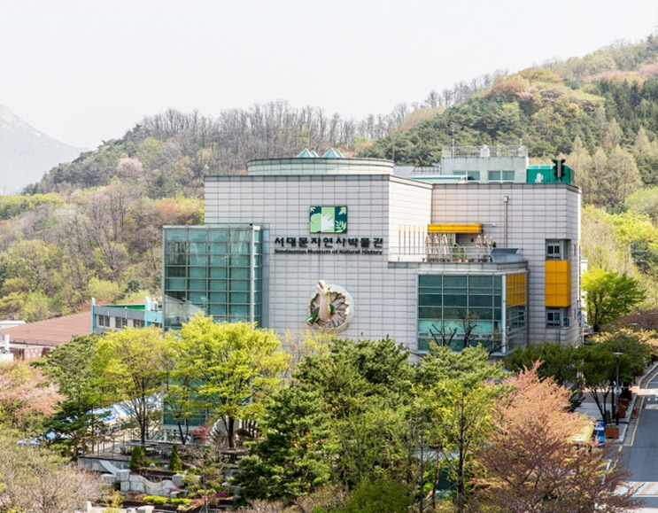 0.서대문자연사박물관.jpg