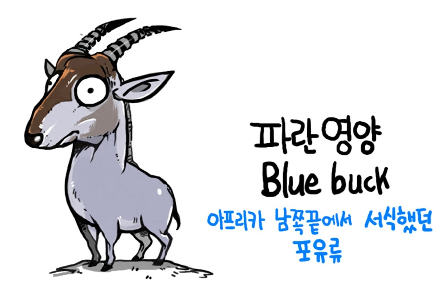 1.파란영양.jpg