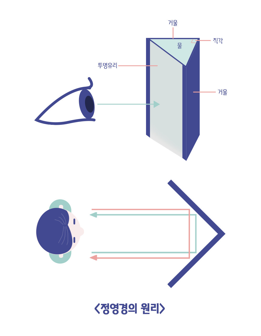 정영경의 원리.jpg