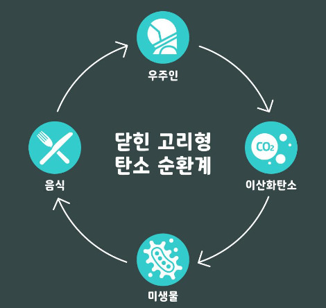 닫힌 고리형 탄소 순환계.jpg