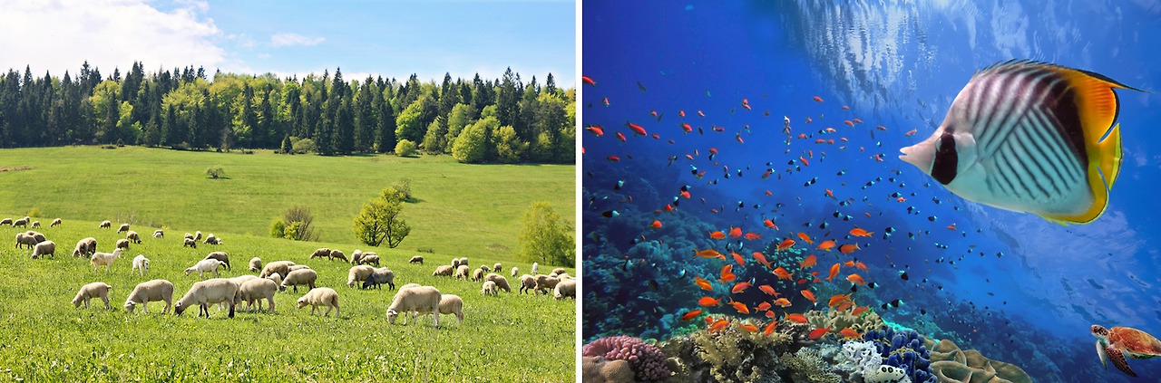 제5의 대멸종이 끝난 지금의 지구 생태계 .jpg