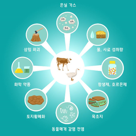 목축 농경과 환경오염.jpg