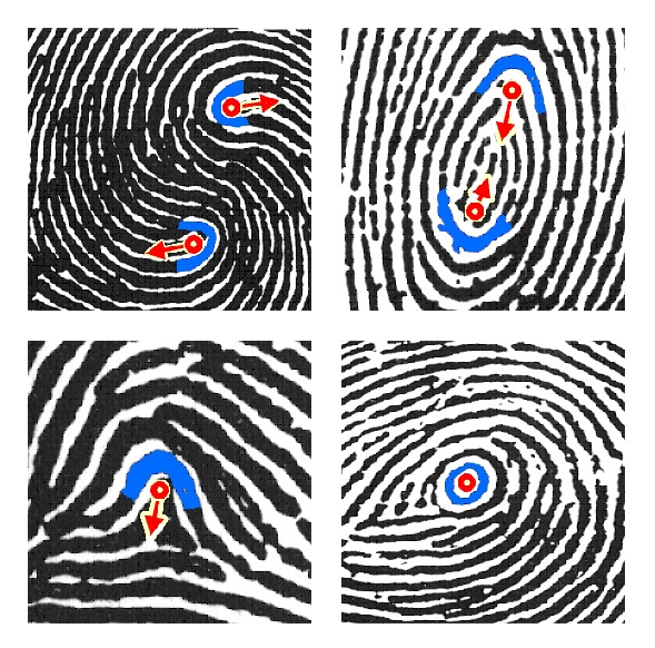 Fingerprints_(6648736721).jpg