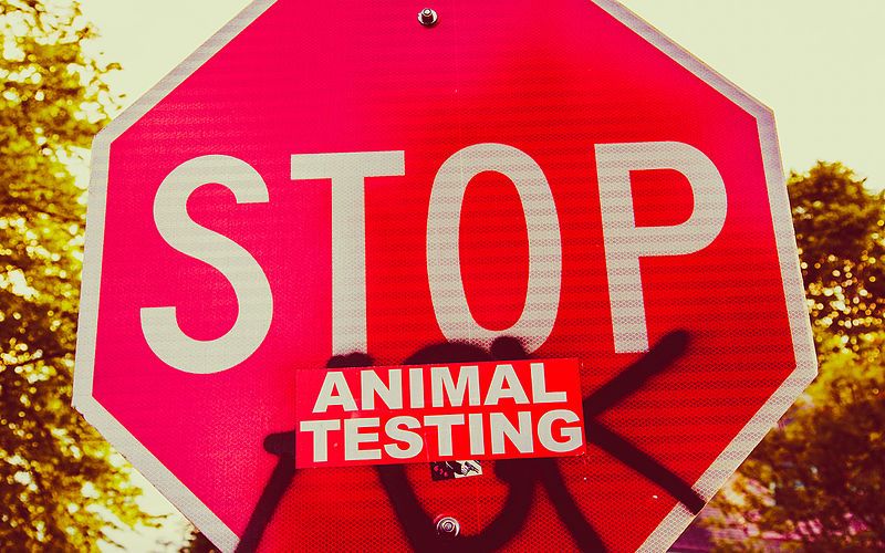 Stop_Animal_Testing_Graffiti_Portland_(17212963704).jpg
