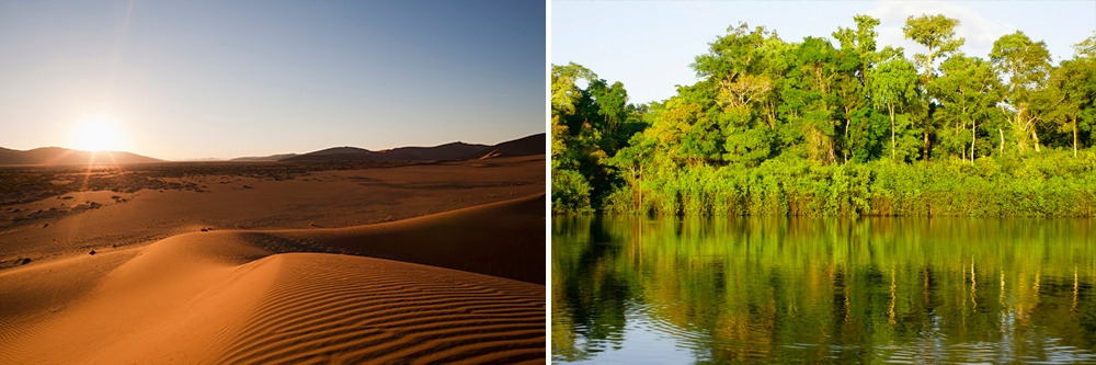 사막과 열대기후 전경.jpg