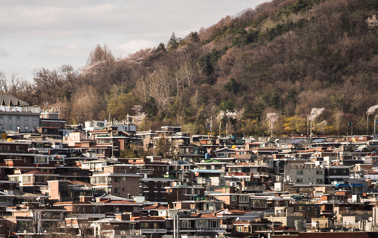 WONY3834 - 복사본.jpg