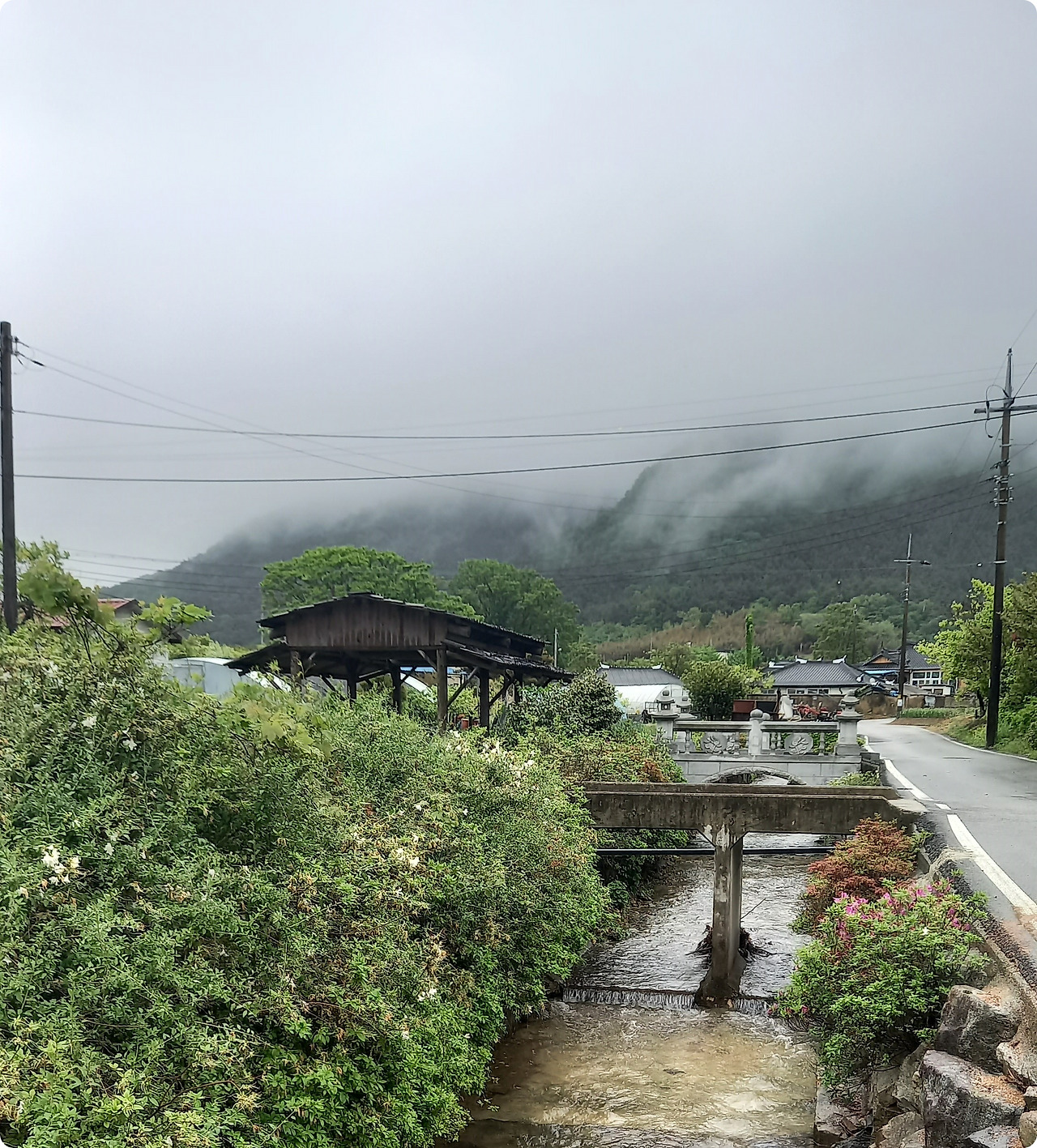 20230506_074058 수정.jpg