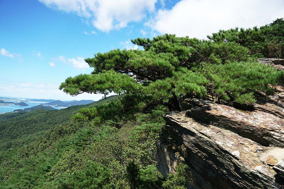 강화도 진강산.jpg