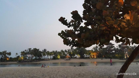 palawanbeach.jpg
