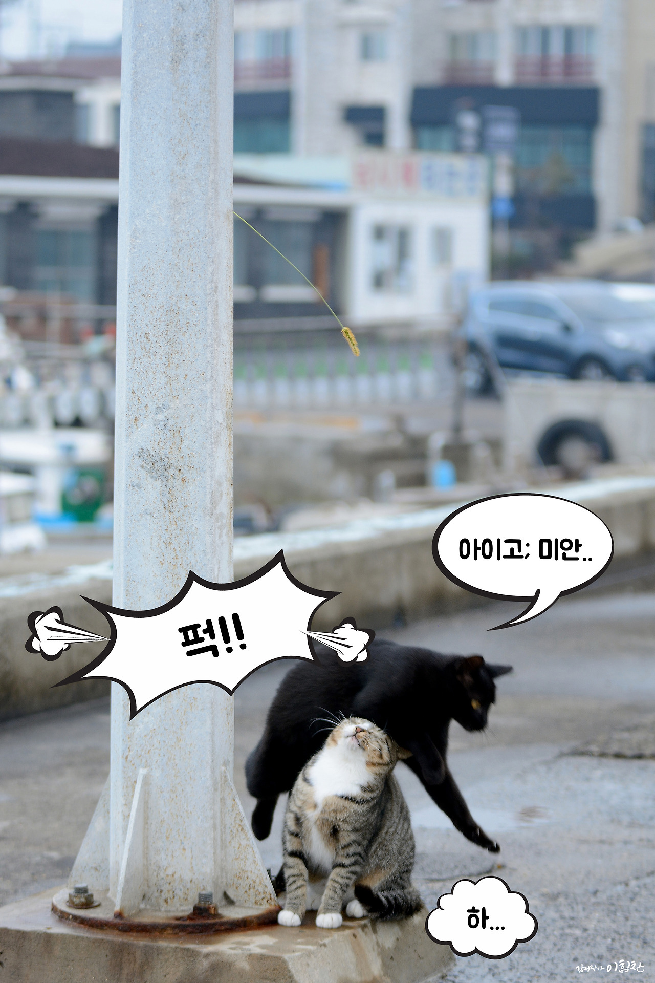 강풀사건 (14).jpg