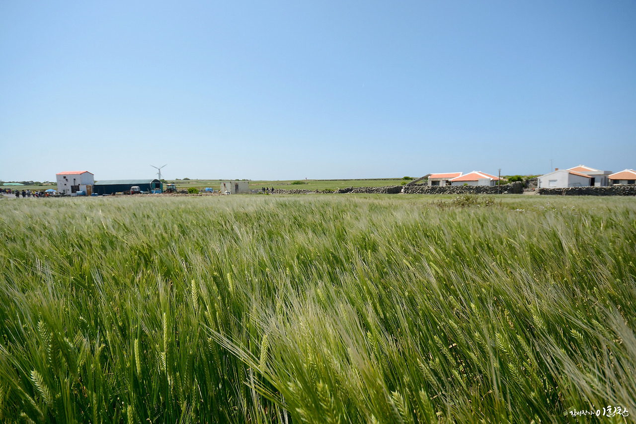 가파도-가로 (3).jpg