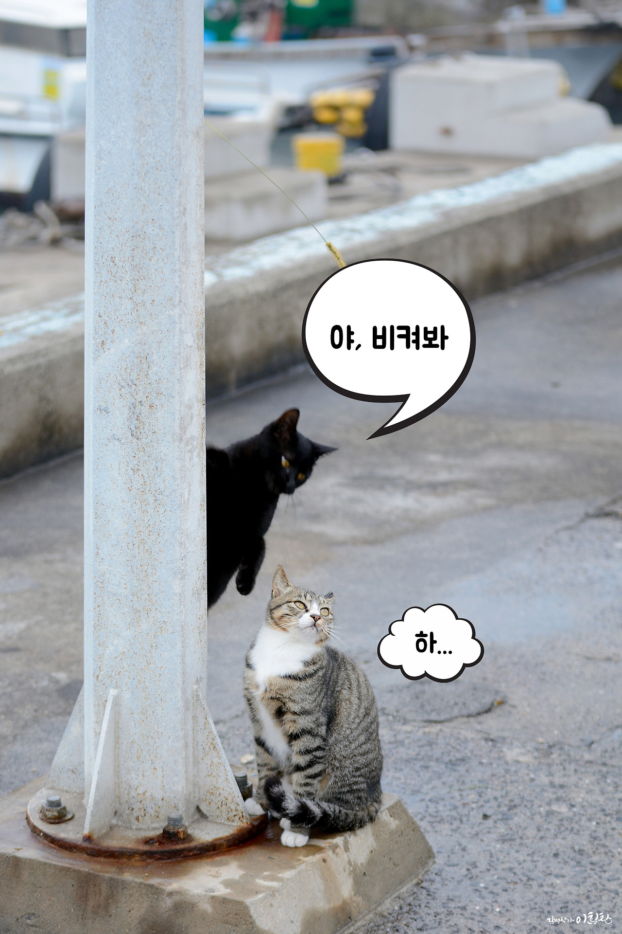 강풀사건 (11).jpg