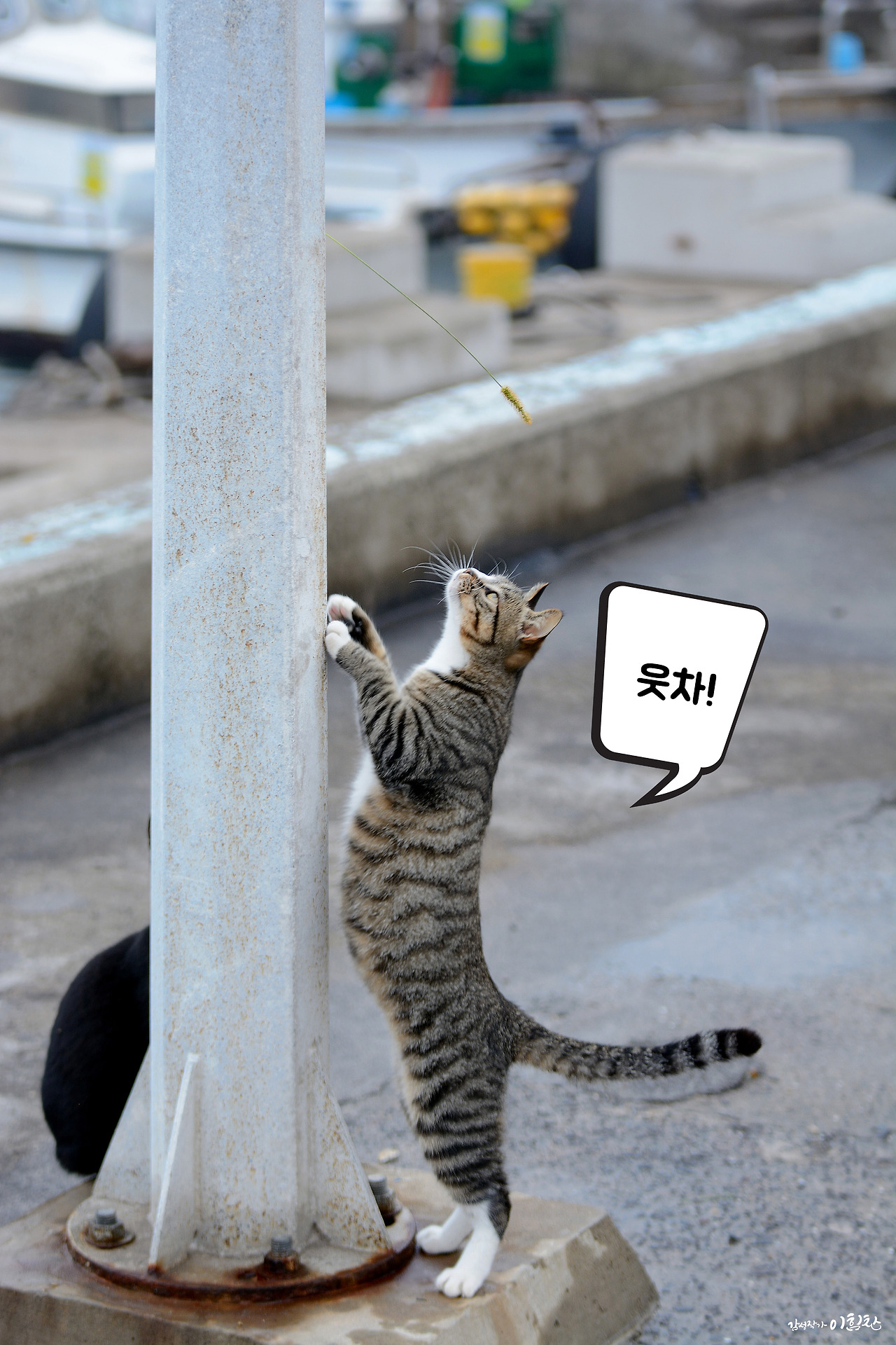 강풀사건 (5).jpg